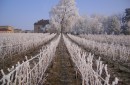 Château en hiver