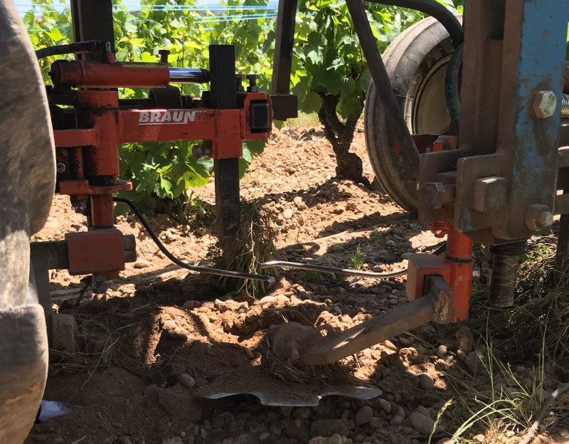 travail-manuel-terre-dans-les-vignes