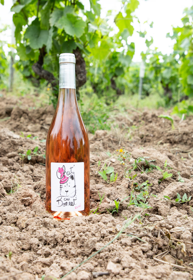 vin-chat-au-bonnet-ROSE-chateau-bonnet